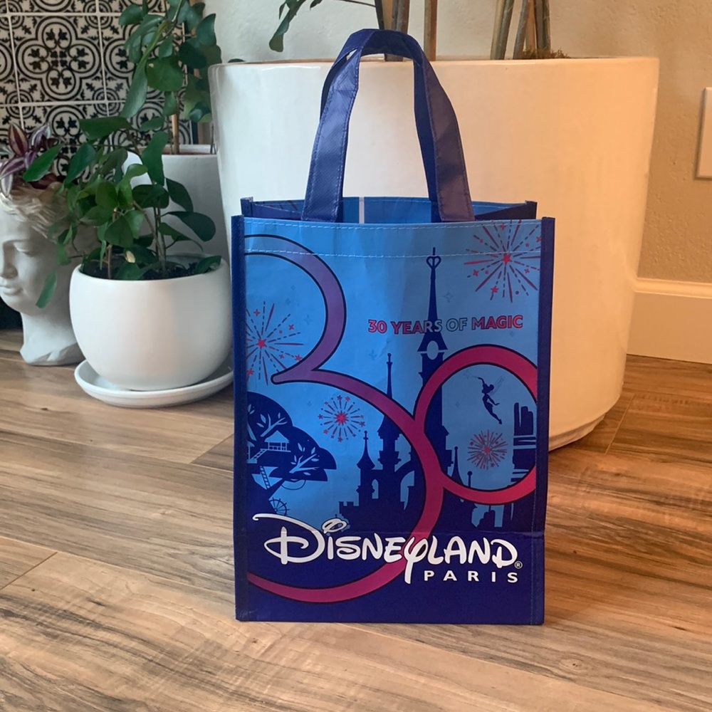 Disneyland Paris shopping bag